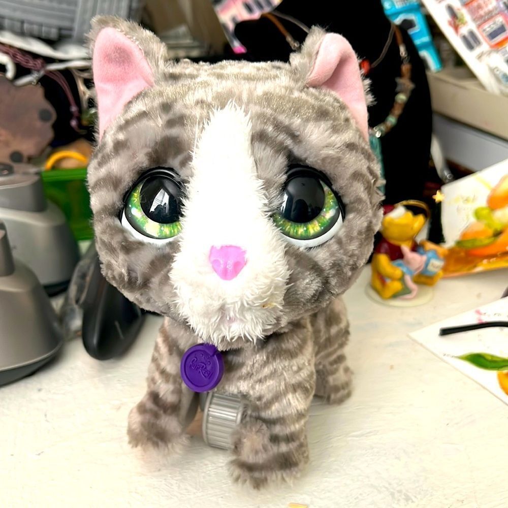 Hasbro Fur Real 2018 grey kitten electronic toy